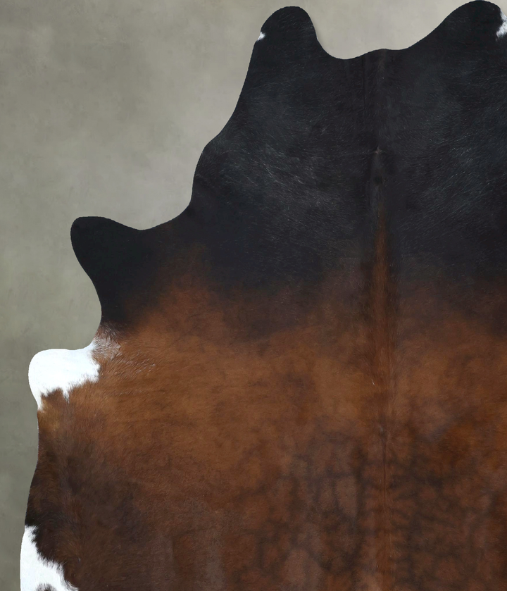 Warm Caramel XX-Large Brazilian Cowhide Rug 8'2"H x 6'10"W #B20638 by Hudson Hides