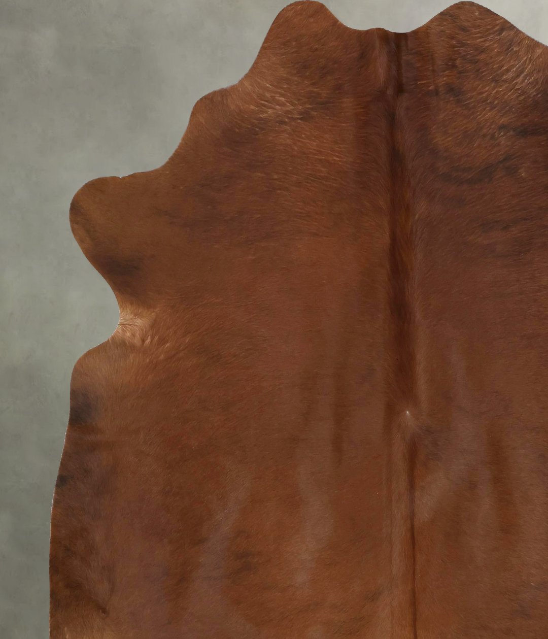 Solid Brown X-Large Brazilian Cowhide Rug 7'2"H x 6'4"W #B20642 by Hud