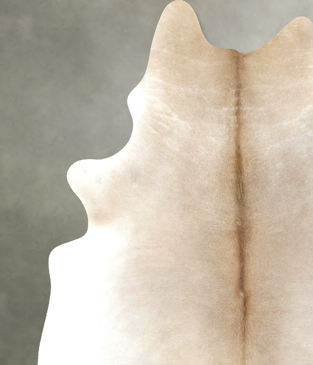 Ivory with Beige XX-Large Brazilian Cowhide Rug 8'8"H x 6'9"W #B20643 