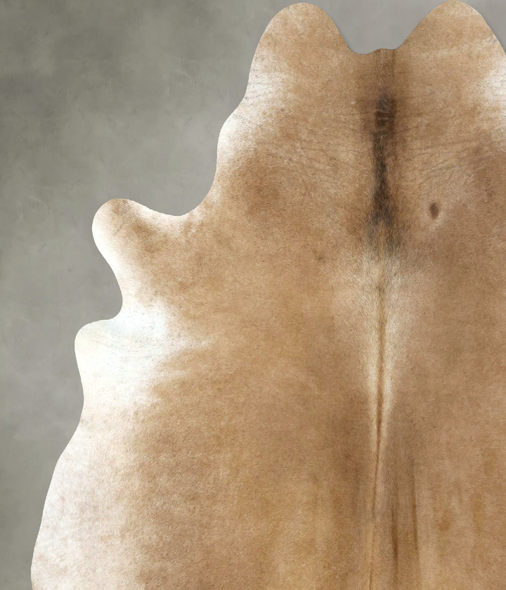 Light Caramel XX-Large Brazilian Cowhide Rug 7'11"H x 6'11"W #B20648 by Hudson Hides