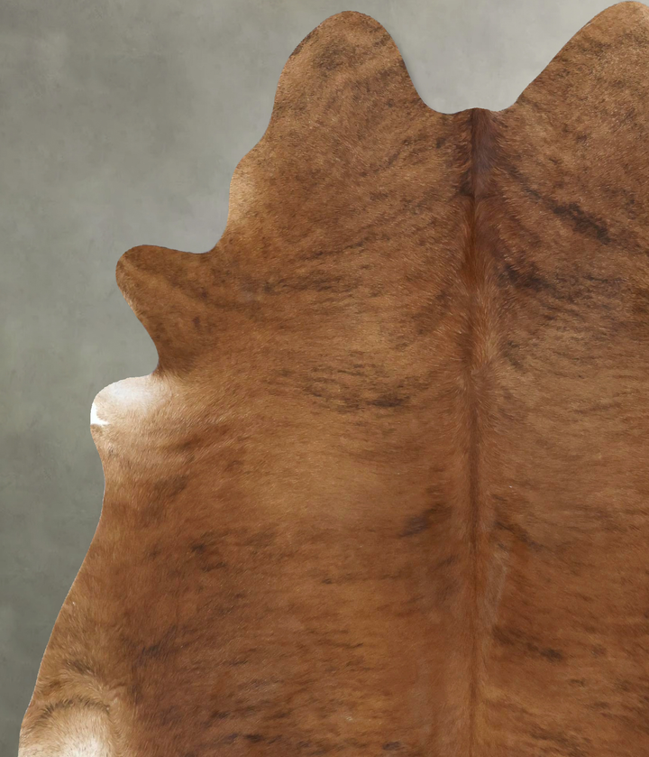 Medium Brindle X-Large Brazilian Cowhide Rug 7'6"H x 6'6"W #B20653 by Hudson Hides