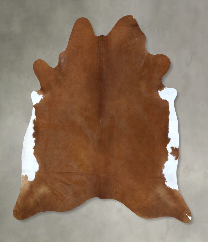 Solid Brown XX-Large Brazilian Cowhide Rug 8'3"H x 7'6"W #B20657 by Hudson Hides