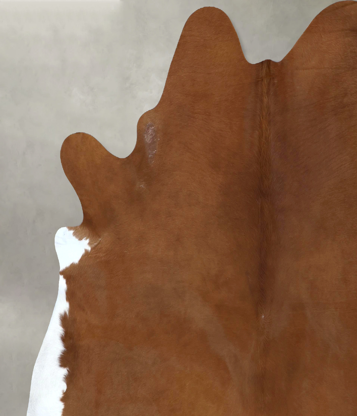 Solid Brown XX-Large Brazilian Cowhide Rug 8'3"H x 7'6"W #B20657 by Hudson Hides