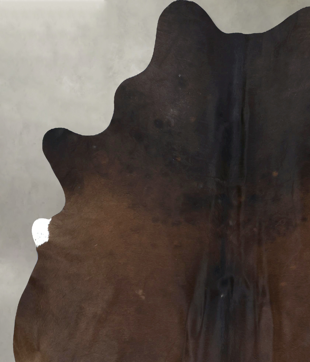 Chocolate XX-Large Brazilian Cowhide Rug 7'8"H x 6'7"W #B20668 by Huds