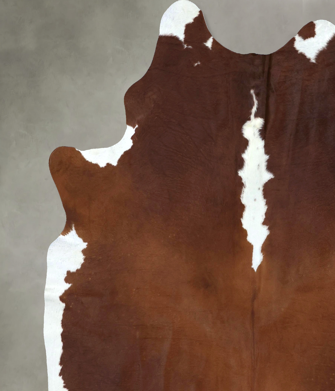 Hereford XX-Large Brazilian Cowhide Rug 8'9"H x 7'1"W #B20669 by Hudso