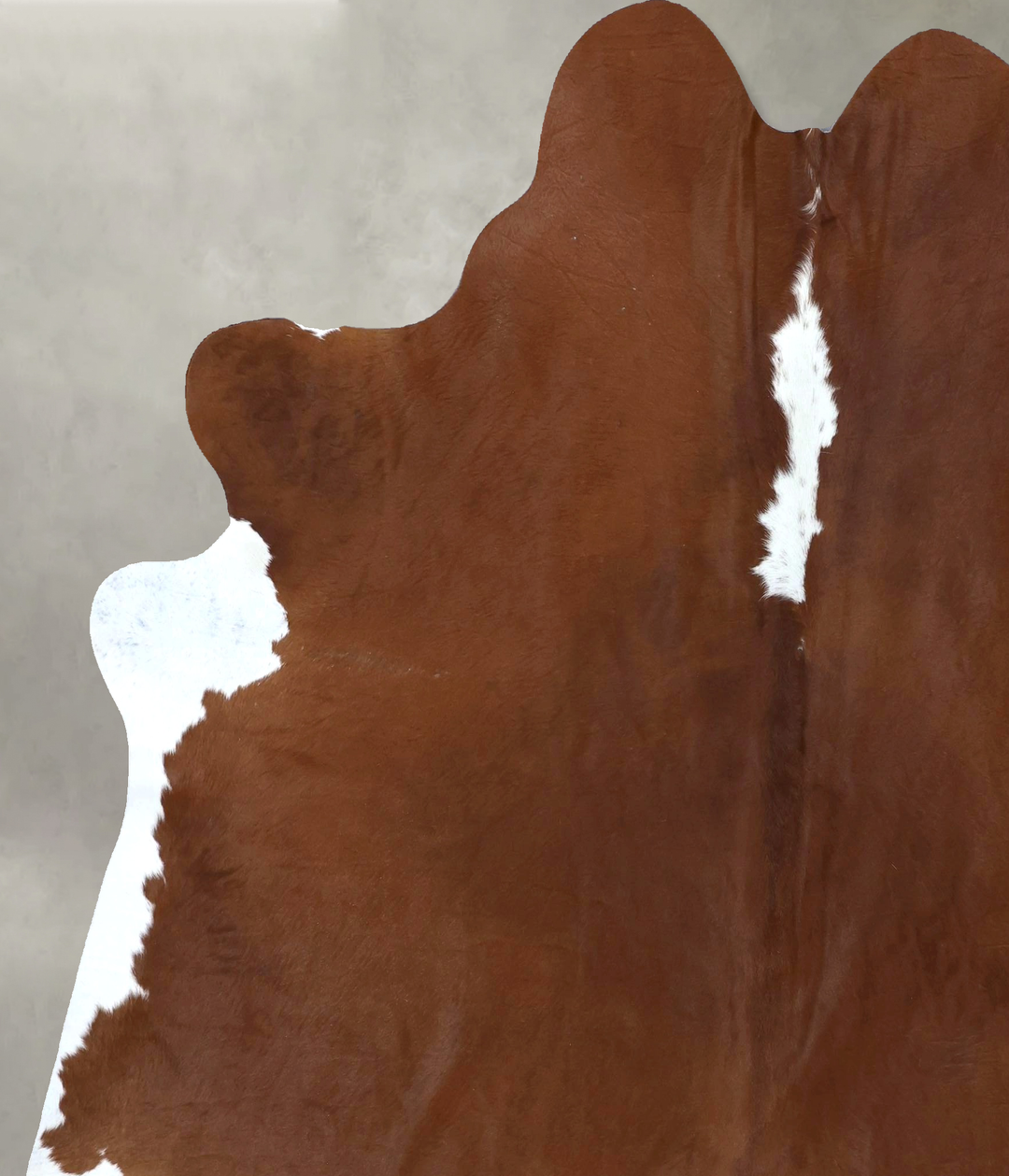 Brown and White Regular XX-Large Brazilian Cowhide Rug 7'9"H x 6'10"W 