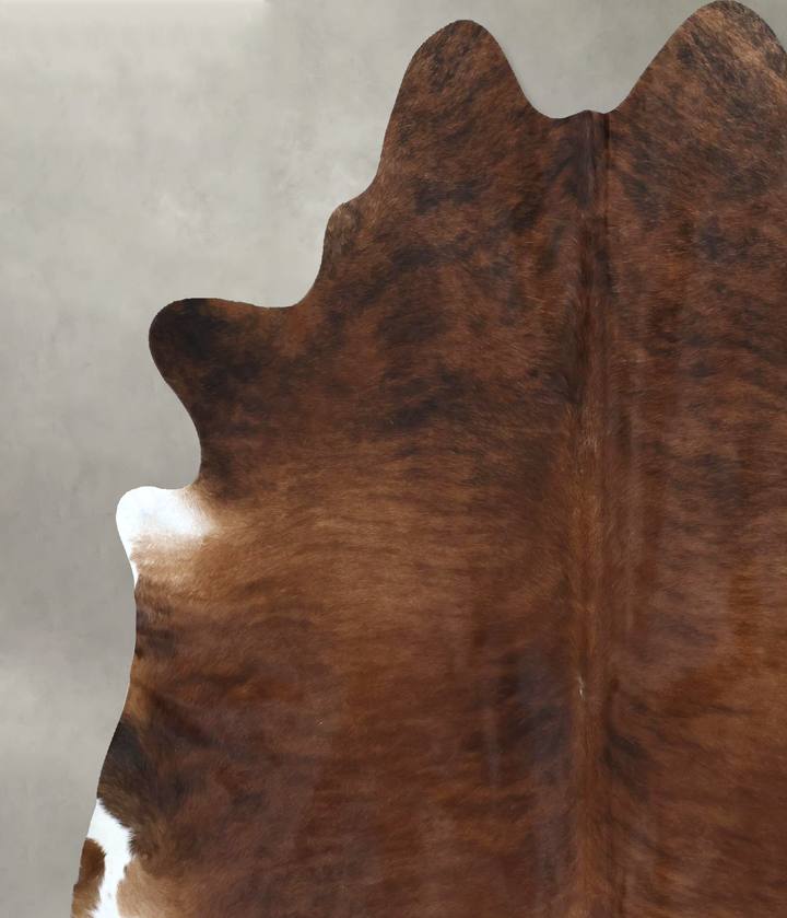 Medium Brindle XX-Large Brazilian Cowhide Rug 7'7"H x 6'11"W #B20674 by Hudson Hides