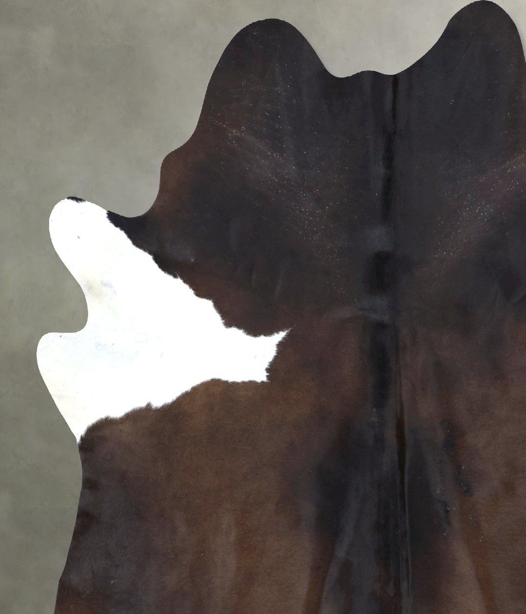 Chocolate and White XX-Large Brazilian Cowhide Rug 8'2"H x 6'6"W #B206