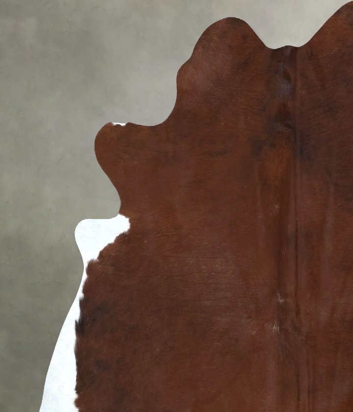 Medium Brindle XX-Large Brazilian Cowhide Rug 7'9"H x 7'0"W #B20684 by Hudson Hides