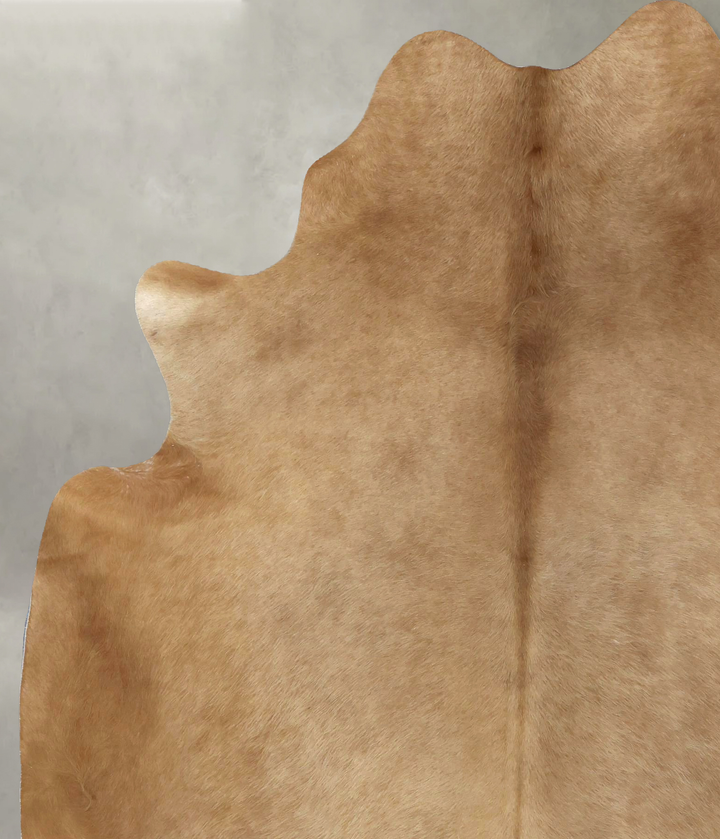 Solid Brown X-Large Brazilian Cowhide Rug 7'5"H x 6'1"W #B20687 by Hudson Hides