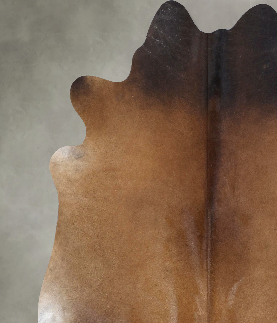 Warm Caramel XX-Large Brazilian Cowhide Rug 7'8"H x 7'0"W #B20691 by H