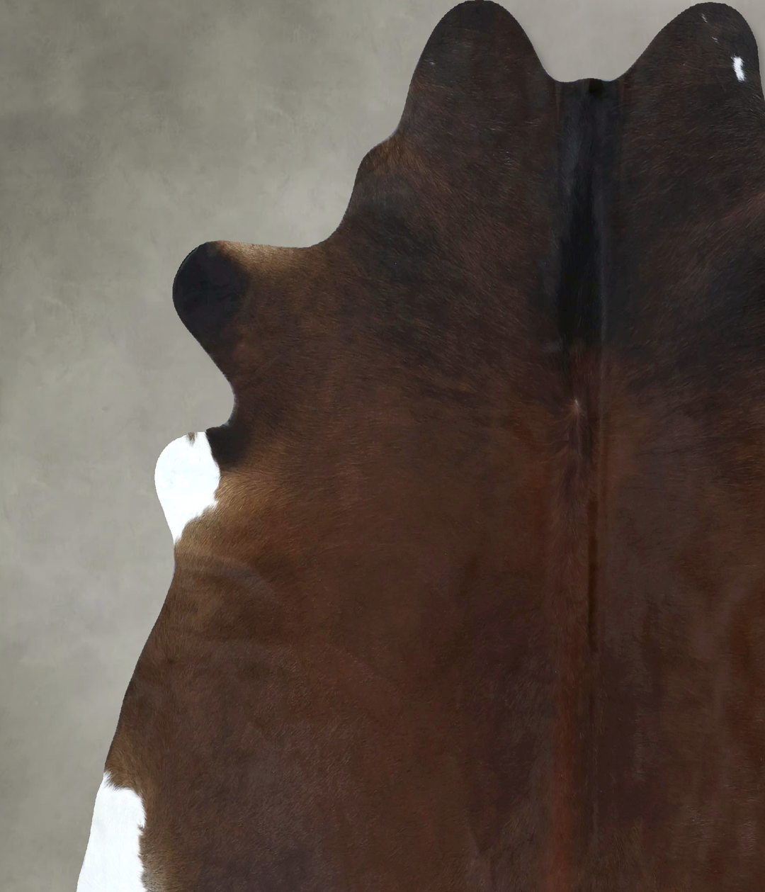 Warm Caramel XX-Large Brazilian Cowhide Rug 7'5"H x 7'0"W #B20694 by H