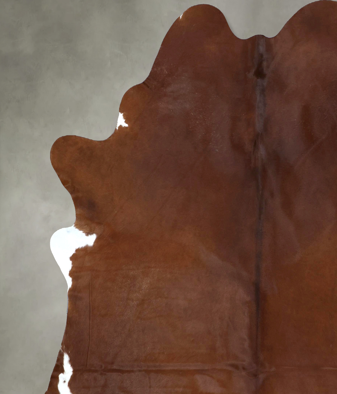 Solid Brown XX-Large Brazilian Cowhide Rug 8'8"H x 7'3"W #B20696 by Hu