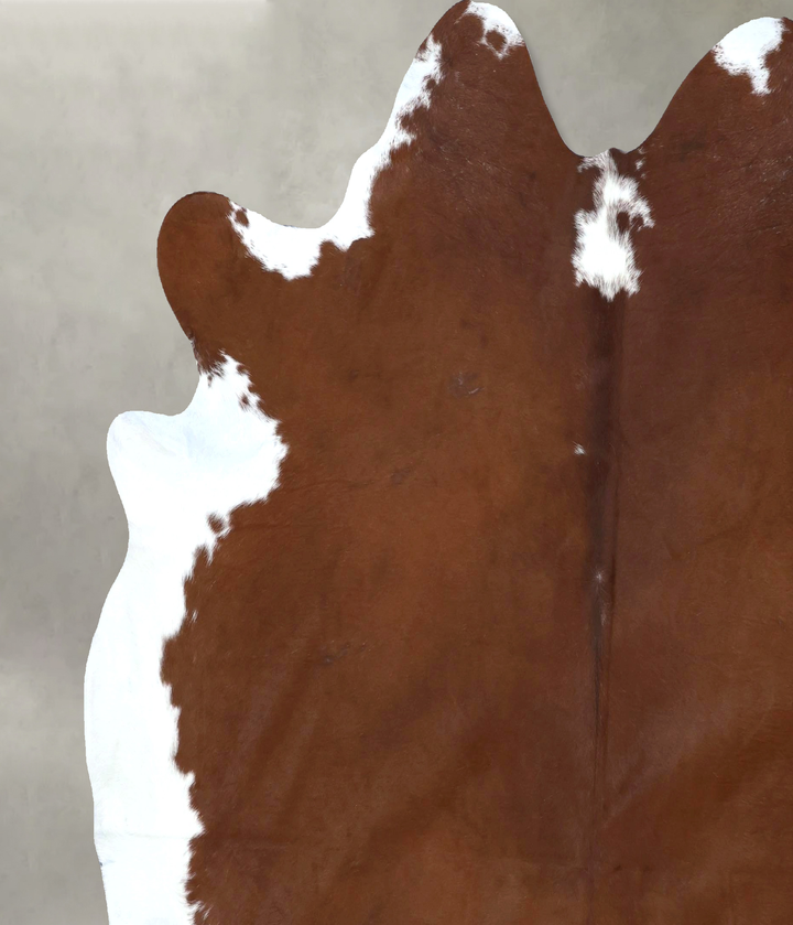 Brown and White Regular XX-Large Brazilian Cowhide Rug 7'7"H x 7'3"W #B20697 by Hudson Hides