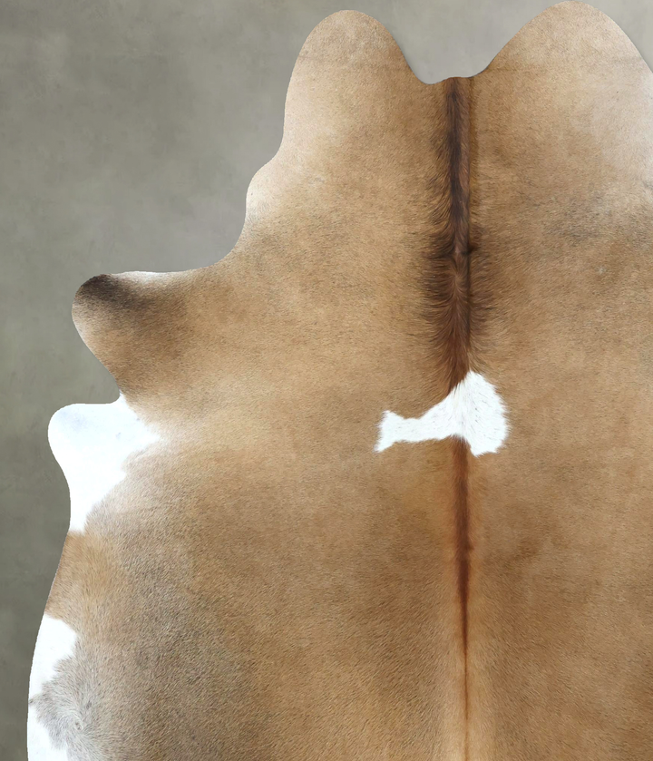 Grey with Beige XX-Large Brazilian Cowhide Rug 7'11"H x 6'9"W #B20699 by Hudson Hides