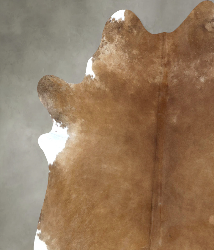 Light Caramel XX-Large Brazilian Cowhide Rug 7'9"H x 6'7"W #B20701 by Hudson Hides