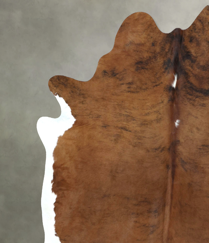 Medium Brindle XX-Large Brazilian Cowhide Rug 8'4"H x 6'10"W #B20702 by Hudson Hides