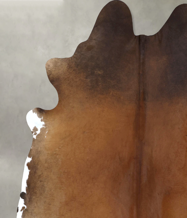 Warm Caramel XX-Large Brazilian Cowhide Rug 8'7"H x 7'5"W #B20709 by Hudson Hides