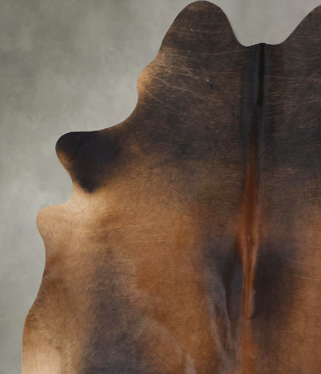 Warm Caramel X-Large Brazilian Cowhide Rug 7'4"H x 6'3"W #B20711 by Hu