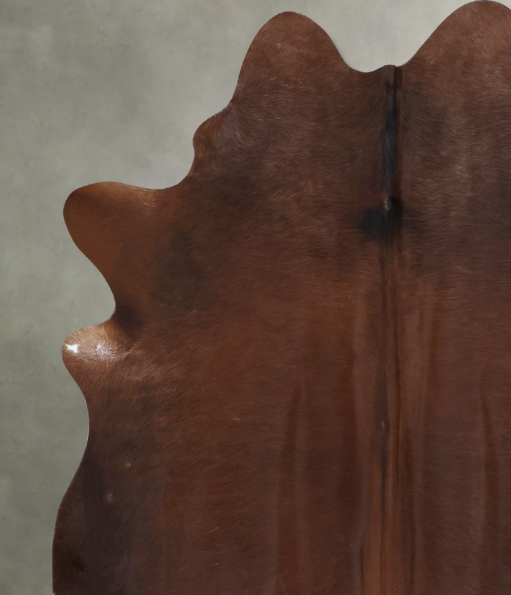 Solid Brown X-Large Brazilian Cowhide Rug 7'5"H x 6'1"W #B20718 by Hudson Hides