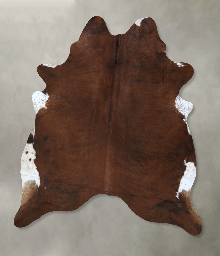Medium Brindle XX-Large Brazilian Cowhide Rug 8'0"H x 6'7"W #B20722 by Hudson Hides