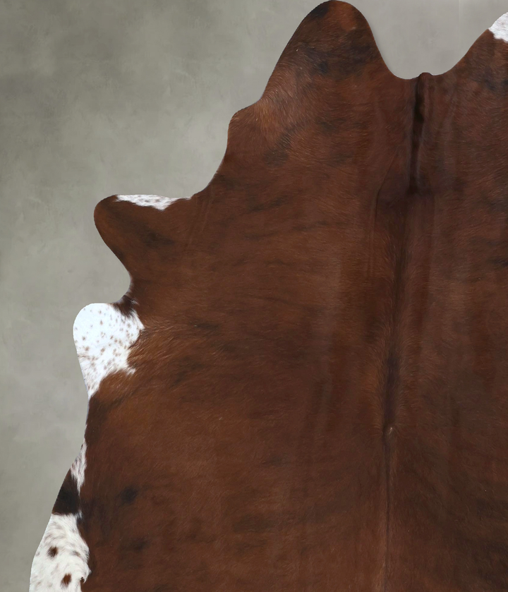 Medium Brindle XX-Large Brazilian Cowhide Rug 8'0"H x 6'7"W #B20722 by Hudson Hides