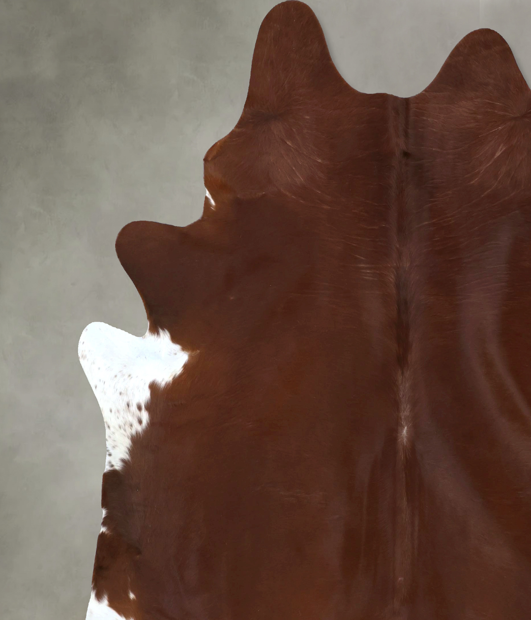 Solid Brown XX-Large Brazilian Cowhide Rug 8'9"H x 7'3"W #B20731 by Hu