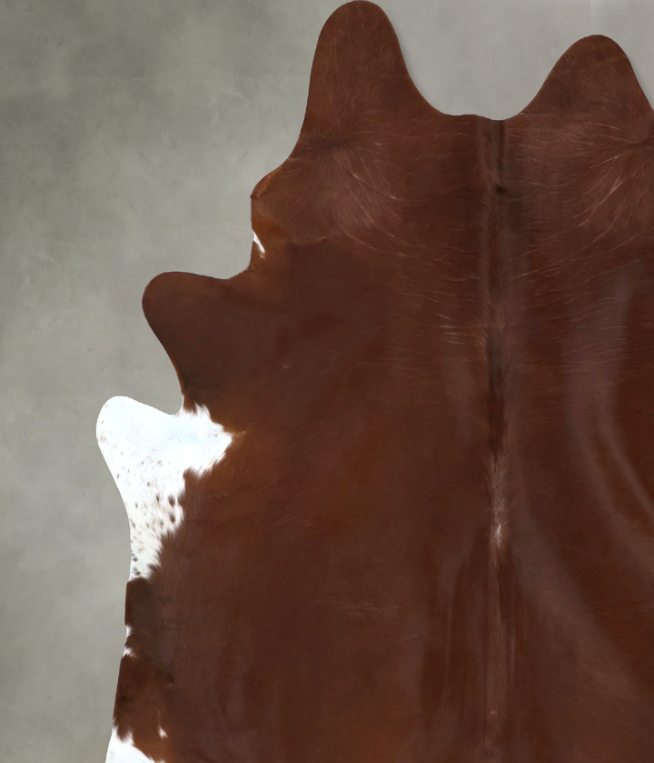 Solid Brown XX-Large Brazilian Cowhide Rug 8'9"H x 7'3"W #B20731 by Hudson Hides