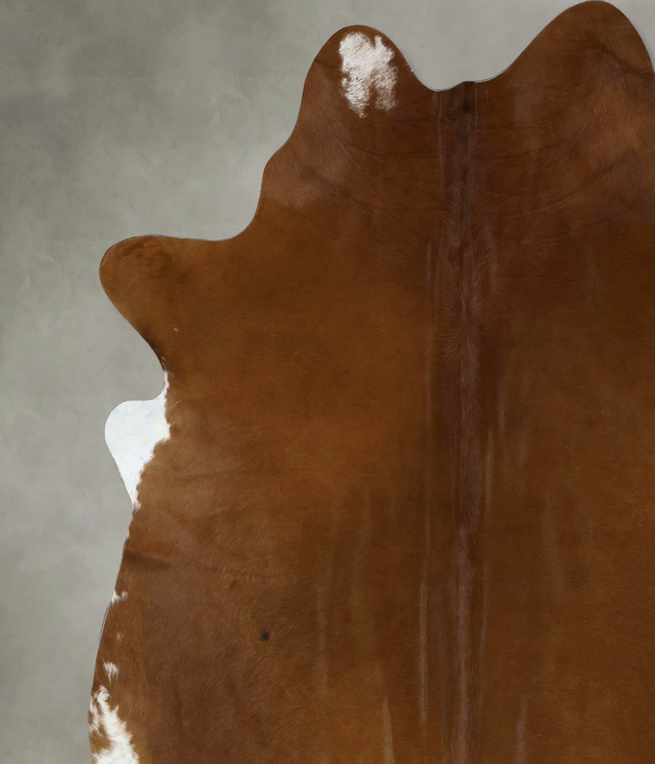 Solid Brown XX-Large Brazilian Cowhide Rug 8'4"H x 7'4"W #B20734 by Hudson Hides