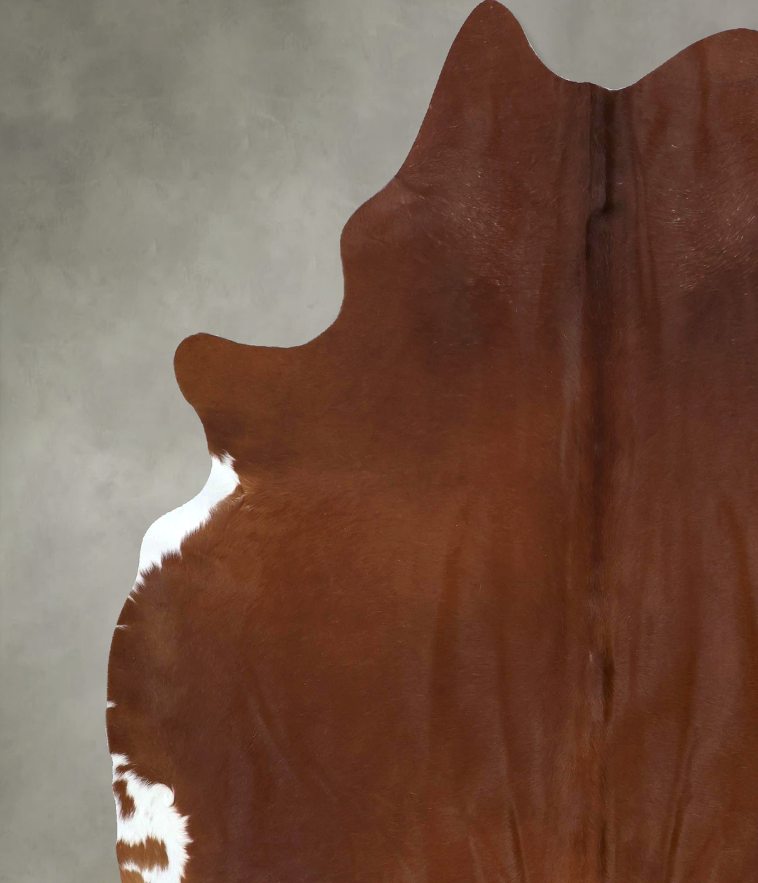 Solid Brown X-Large Brazilian Cowhide Rug 7'6"H x 6'7"W #B20742 by Hud