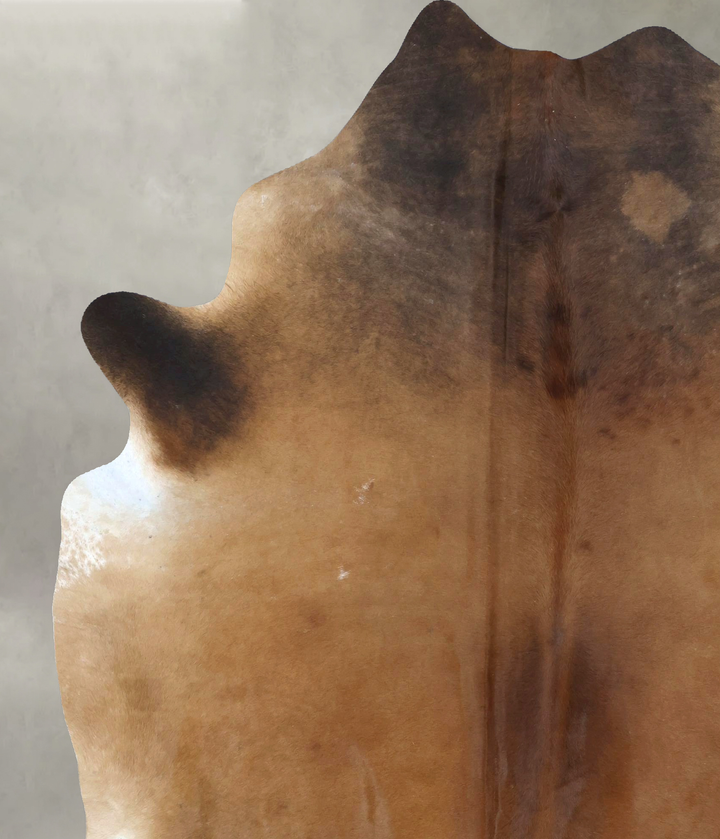 Warm Caramel XX-Large Brazilian Cowhide Rug 8'2"H x 6'8"W #B20745 by Hudson Hides