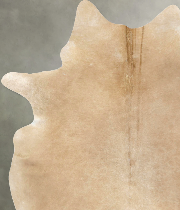 Palomino X-Large Brazilian Cowhide Rug 7'9"H x 5'11"W #B20749 by Hudson Hides