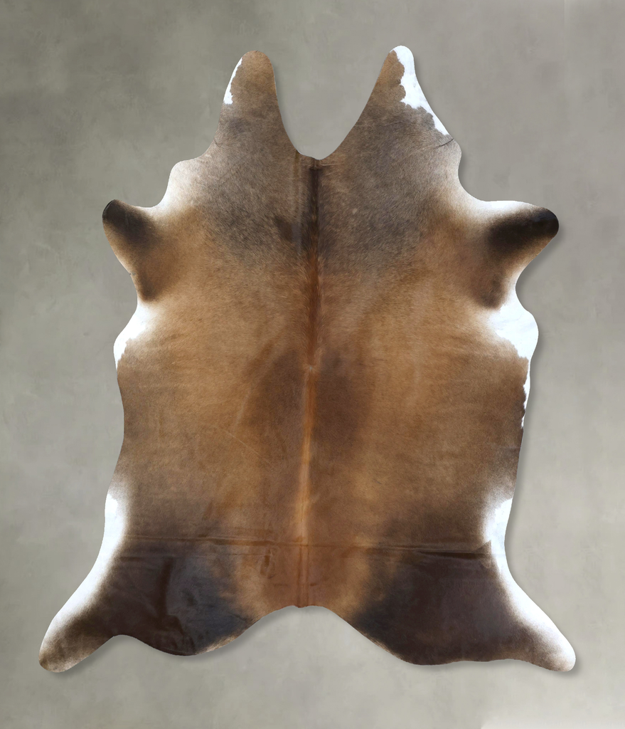 Chocolate XX-Large Brazilian Cowhide Rug 8'5"H x 7'1"W #B20767 by Hudson Hides