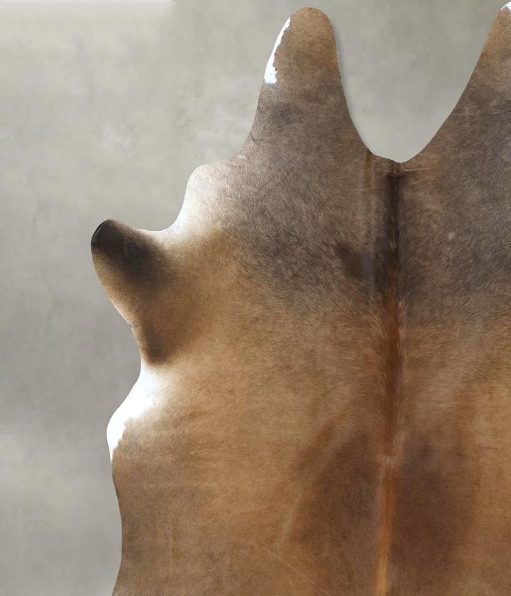 Chocolate XX-Large Brazilian Cowhide Rug 8'5"H x 7'1"W #B20767 by Hudson Hides