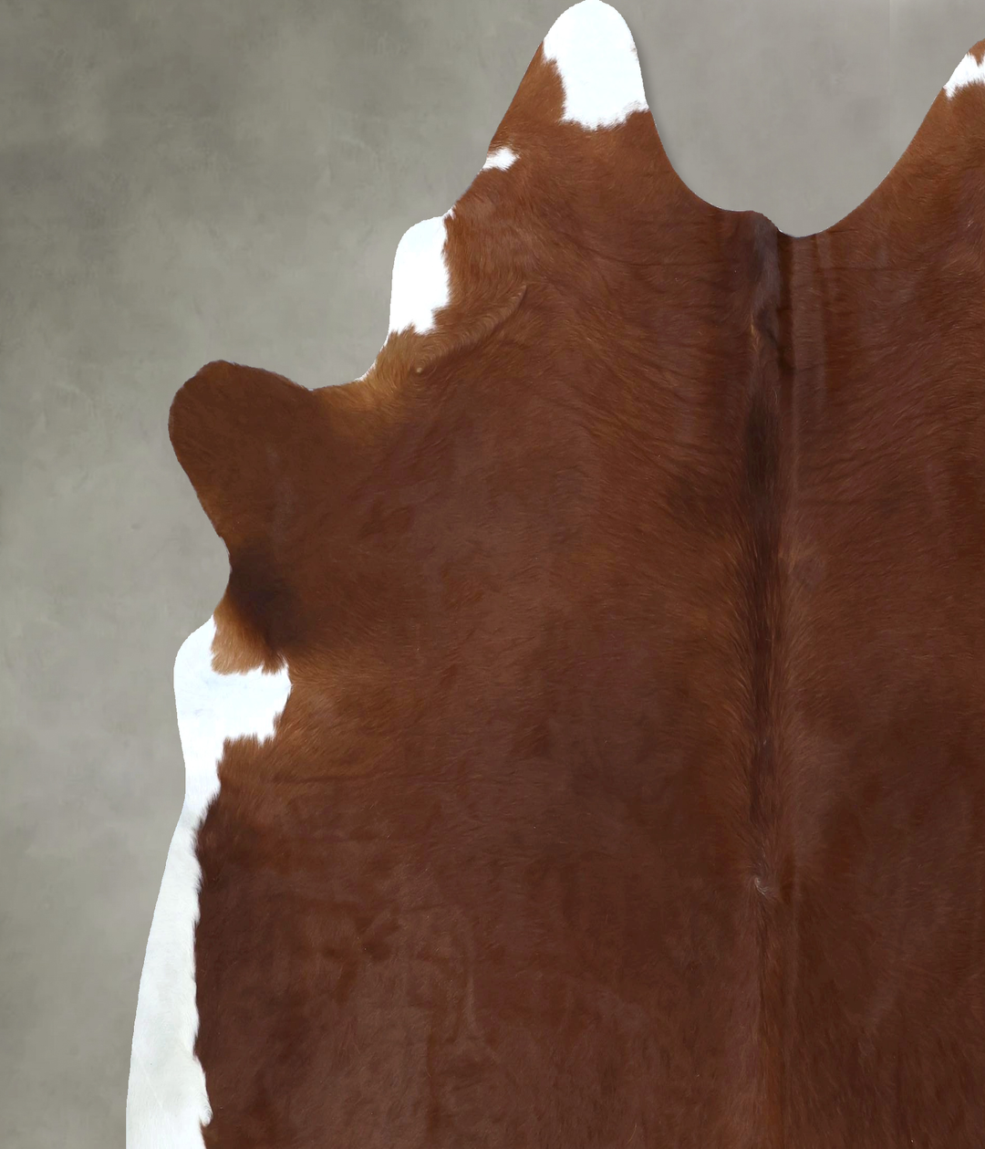 Brown and White Regular XX-Large Brazilian Cowhide Rug 7'9"H x 7'5"W #