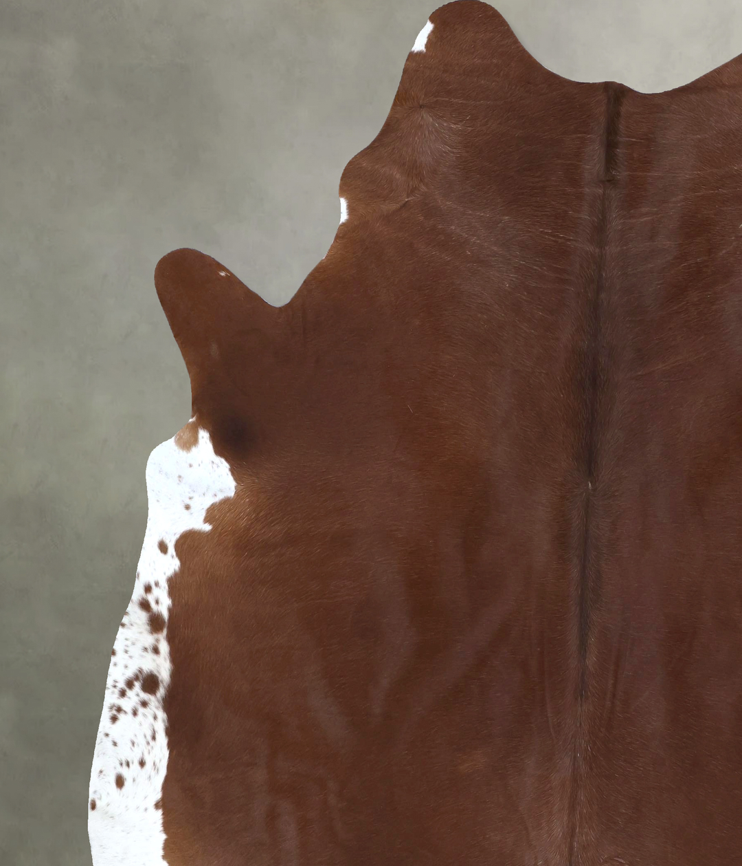 Solid Brown XX-Large Brazilian Cowhide Rug 8'5"H x 7'1"W #B20771 by Hu