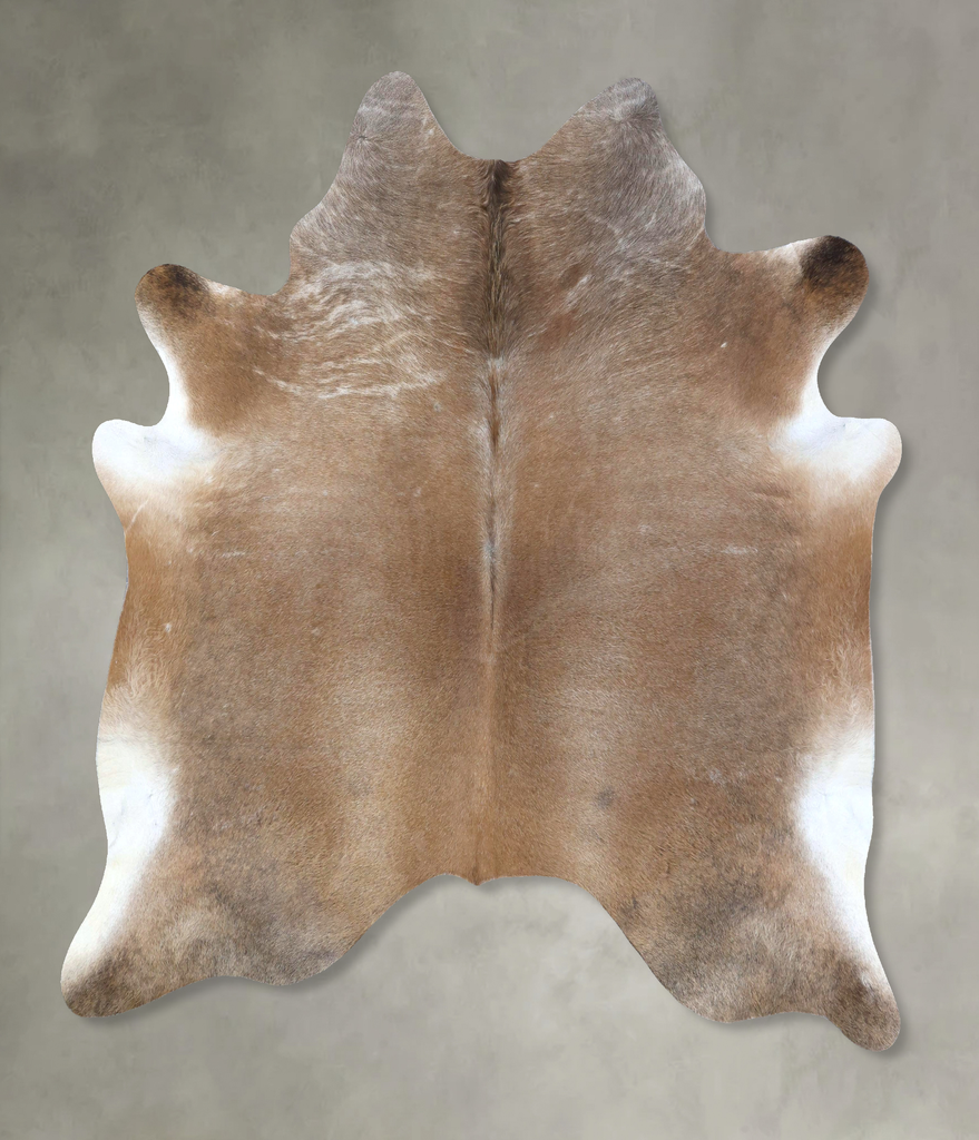 Light Caramel XX-Large Brazilian Cowhide Rug 7'6"H x 6'10"W #B20773 by Hudson Hides