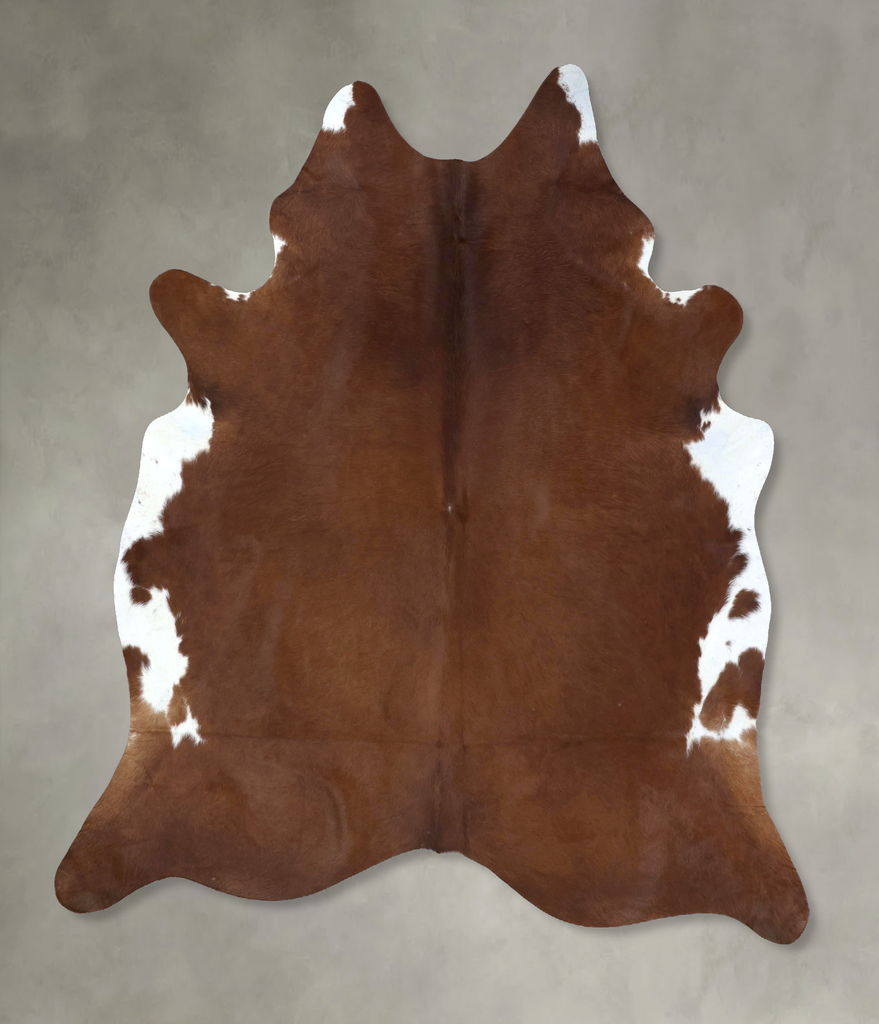 Brown and White Regular XX-Large Brazilian Cowhide Rug 7'11"H x 6'7"W #B20777 by Hudson Hides