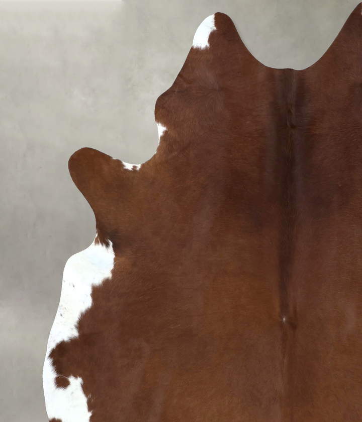 Brown and White Regular XX-Large Brazilian Cowhide Rug 7'11"H x 6'7"W #B20777 by Hudson Hides