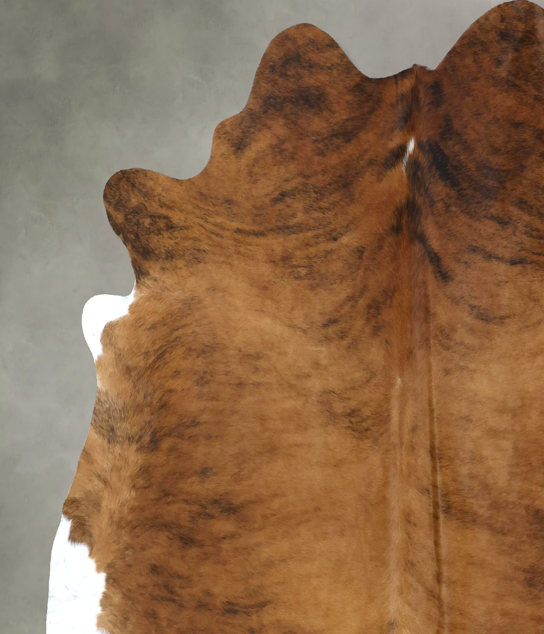 Medium Brindle X-Large Brazilian Cowhide Rug 7'4"H x 6'7"W #B20782 by 