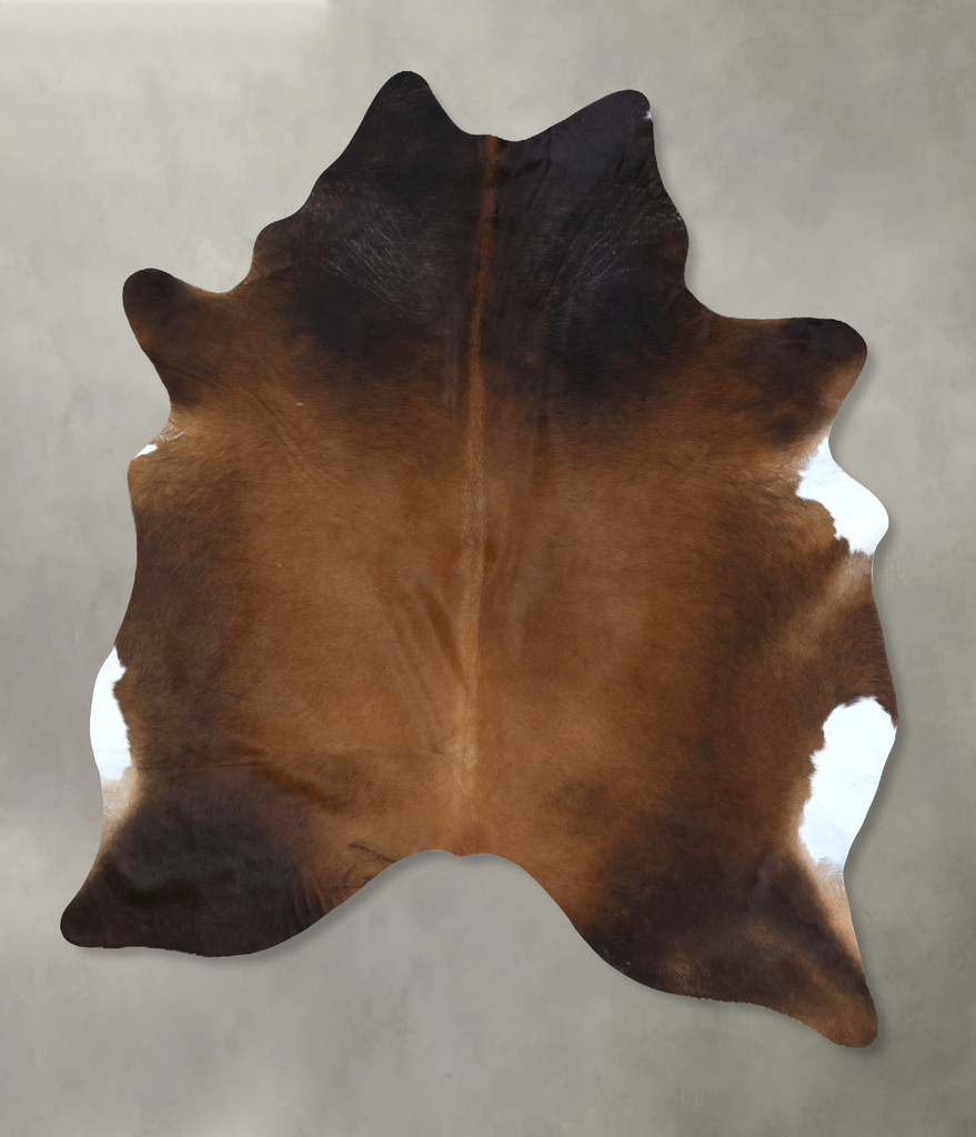 Warm Caramel XX-Large Brazilian Cowhide Rug 8'4"H x 6'3"W #B20787 by Hudson Hides