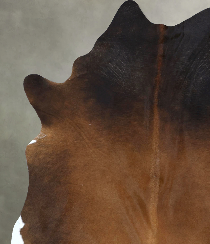 Warm Caramel XX-Large Brazilian Cowhide Rug 8'4"H x 6'3"W #B20787 by Hudson Hides