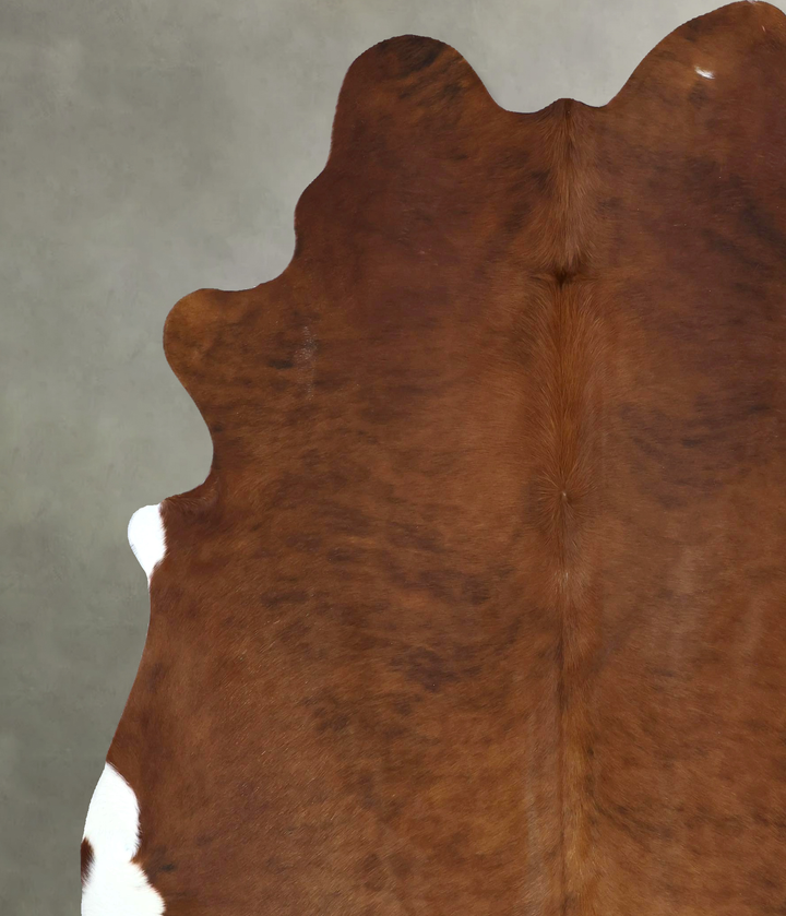 Medium Brindle XX-Large Brazilian Cowhide Rug 7'11"H x 6'11"W #B20791 by Hudson Hides