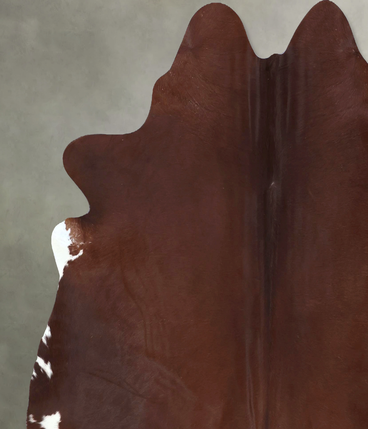 Solid Brown X-Large Brazilian Cowhide Rug 7'3"H x 6'6"W #B20795 by Hudson Hides