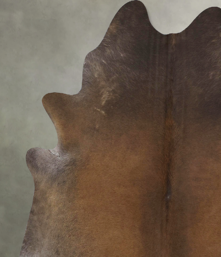 Chocolate XX-Large Brazilian Cowhide Rug 7'10"H x 6'6"W #B20800 by Hudson Hides