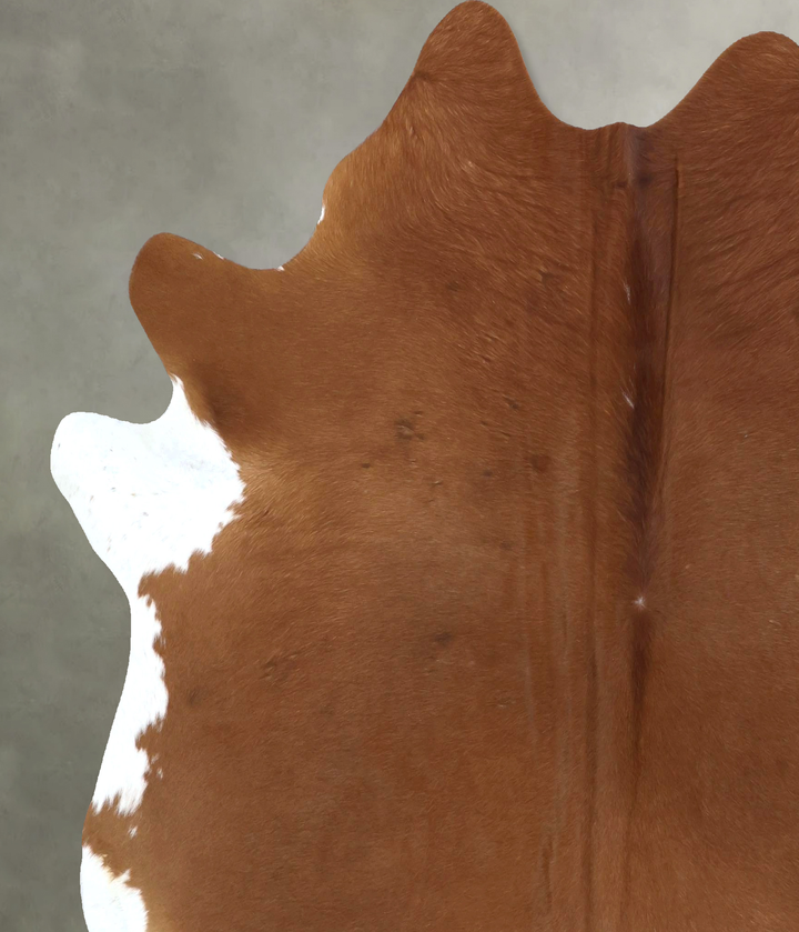 Solid Brown XX-Large Brazilian Cowhide Rug 7'8"H x 6'10"W #B20803 by Hudson Hides