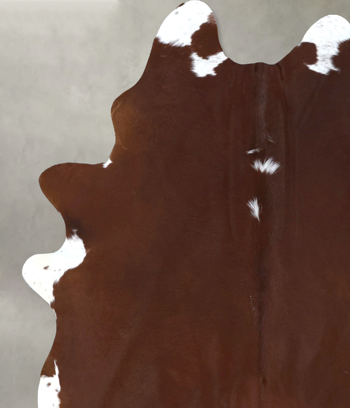 Brown and White Regular X-Large Brazilian Cowhide Rug 7'11"H x 6'3"W #B20804 by Hudson Hides