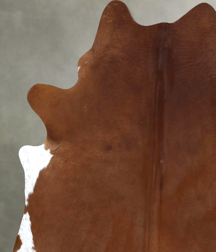 Solid Brown XX-Large Brazilian Cowhide Rug 8'0"H x 6'8"W #B20806 by Hudson Hides