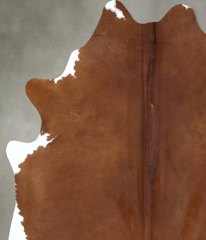 Solid Brown XX-Large Brazilian Cowhide Rug 8'4"H x 7'0"W #B20807 by Hudson Hides