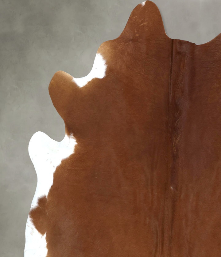Solid Brown X-Large Brazilian Cowhide Rug 7'5"H x 6'8"W #B20809 by Hudson Hides